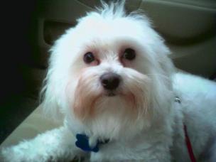 Charlie